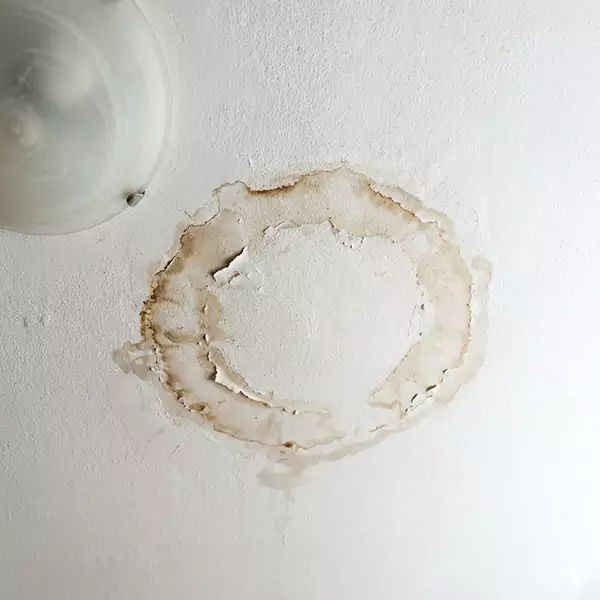 Leaking Ceiling Repair in Meridian, ID 
