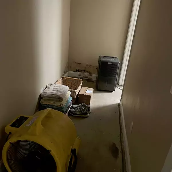 Expert Water Remediation in Meridian, ID 