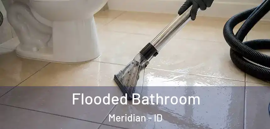  Flooded Bathroom Meridian - ID