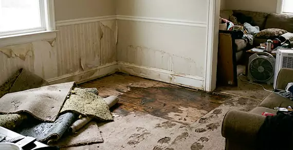 Why Choose Meridian Water Damage Pro For Water Damage Restoration Services in Meridian, ID?