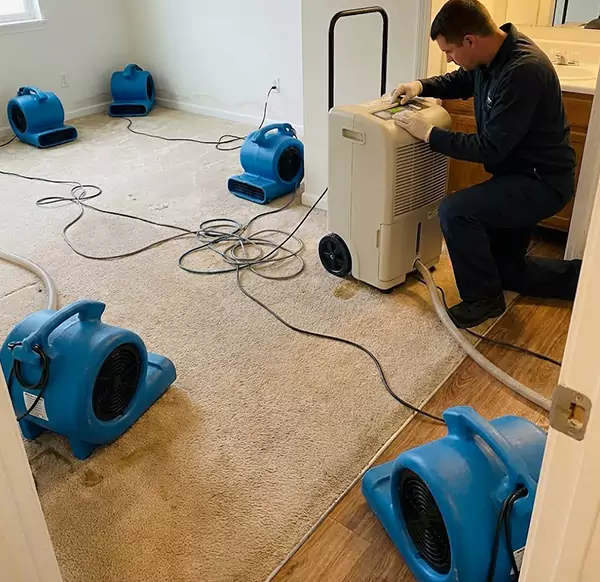 Why Homeowners & Businesses Choose Meridian Water Damage Pro for 24 7 Restoration in Meridian, ID?