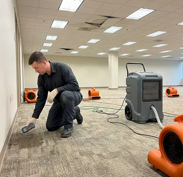 Why Businesses Choose Meridian Water Damage Pro for Commercial Water Damage in Meridian, ID?