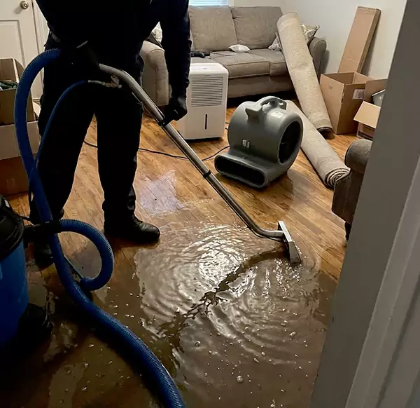 Why Homeowners & Businesses Choose Meridian Water Damage Pro for Flood Cleanup in Meridian, ID?
