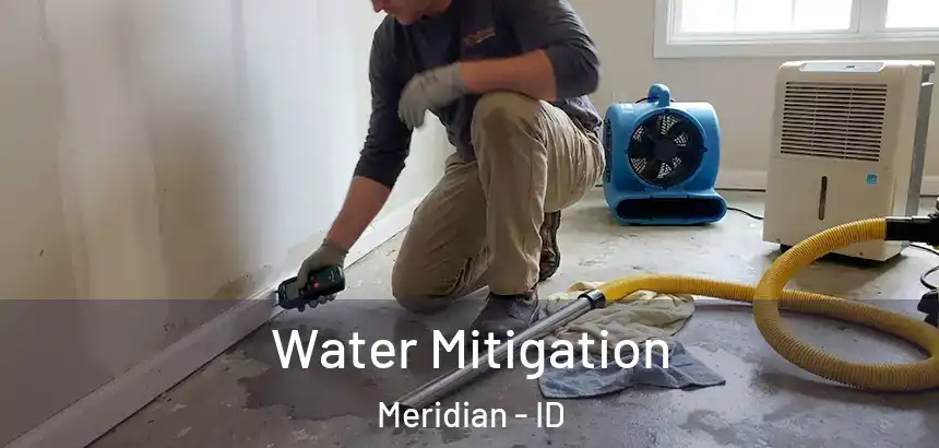  Water Mitigation Meridian - ID