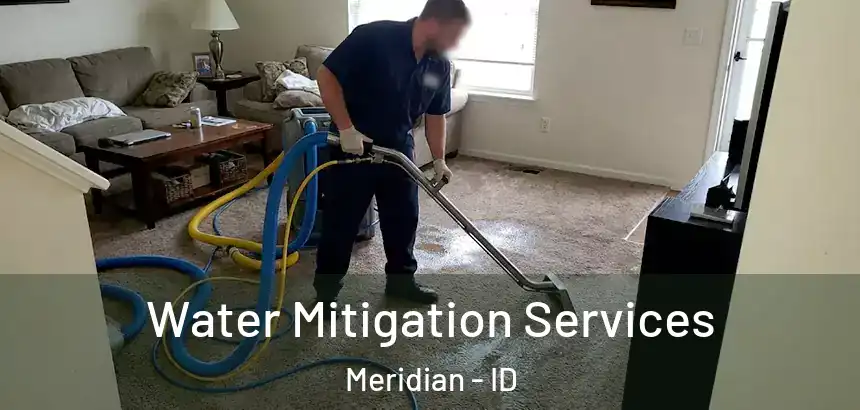  Water Mitigation Services Meridian - ID